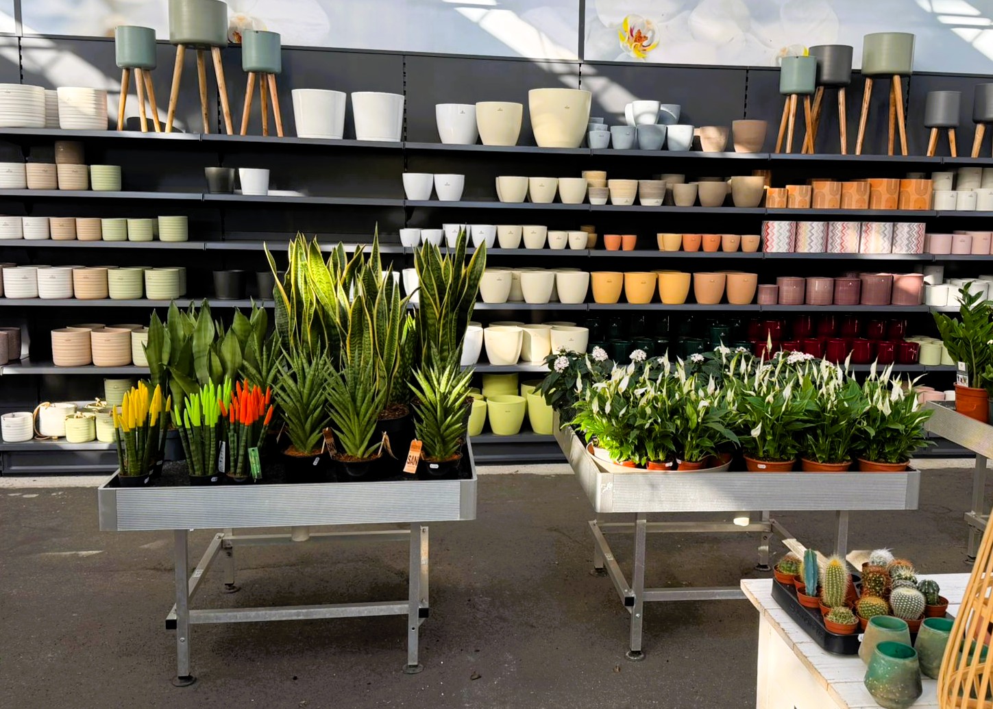 Monheimer Blumenmarkt